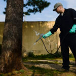 Backyard Pesticide Service