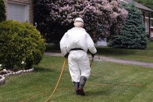 Lawn Pesticide Service
