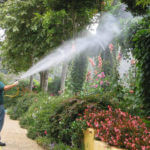 Fertilization Service by All American Pest Control